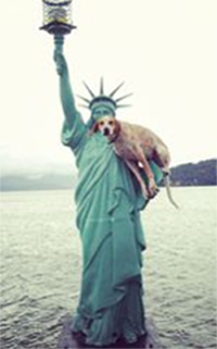 State Of Liberty with Dog